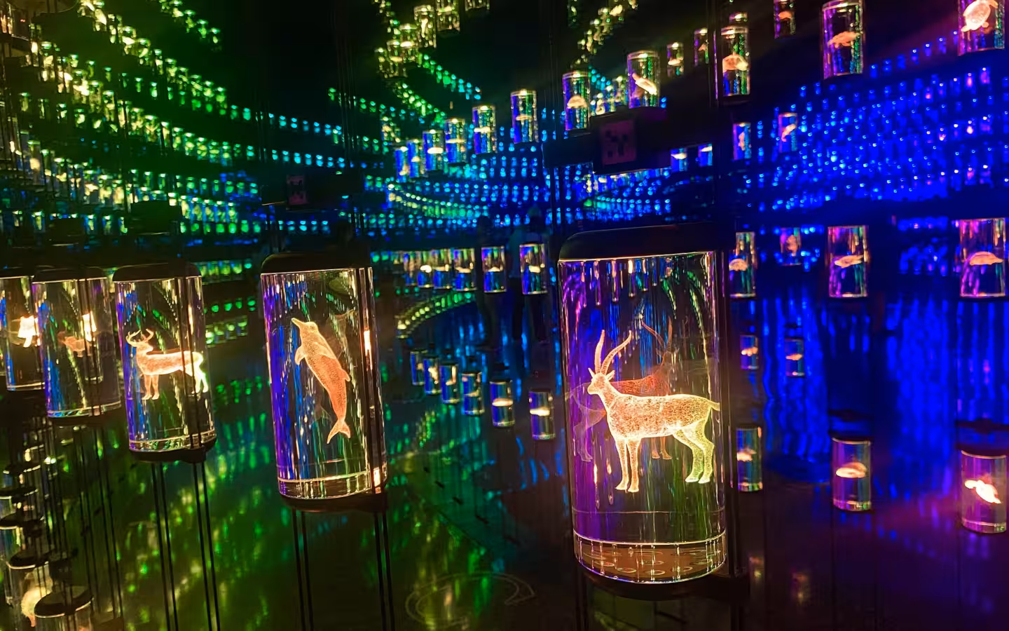 Glowing animal displays fill a mirrored installation inside Museum of the Future.