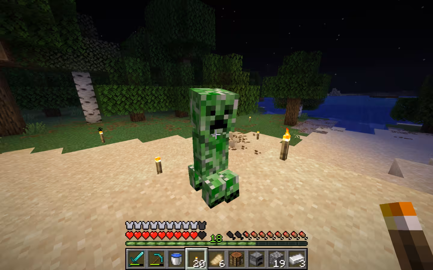 A Minecraft Creeper stands on a torchlit beach beside trees at night.
