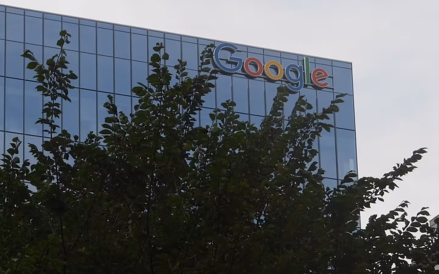Google's logo on a Toronto glass office building above dense tree branches