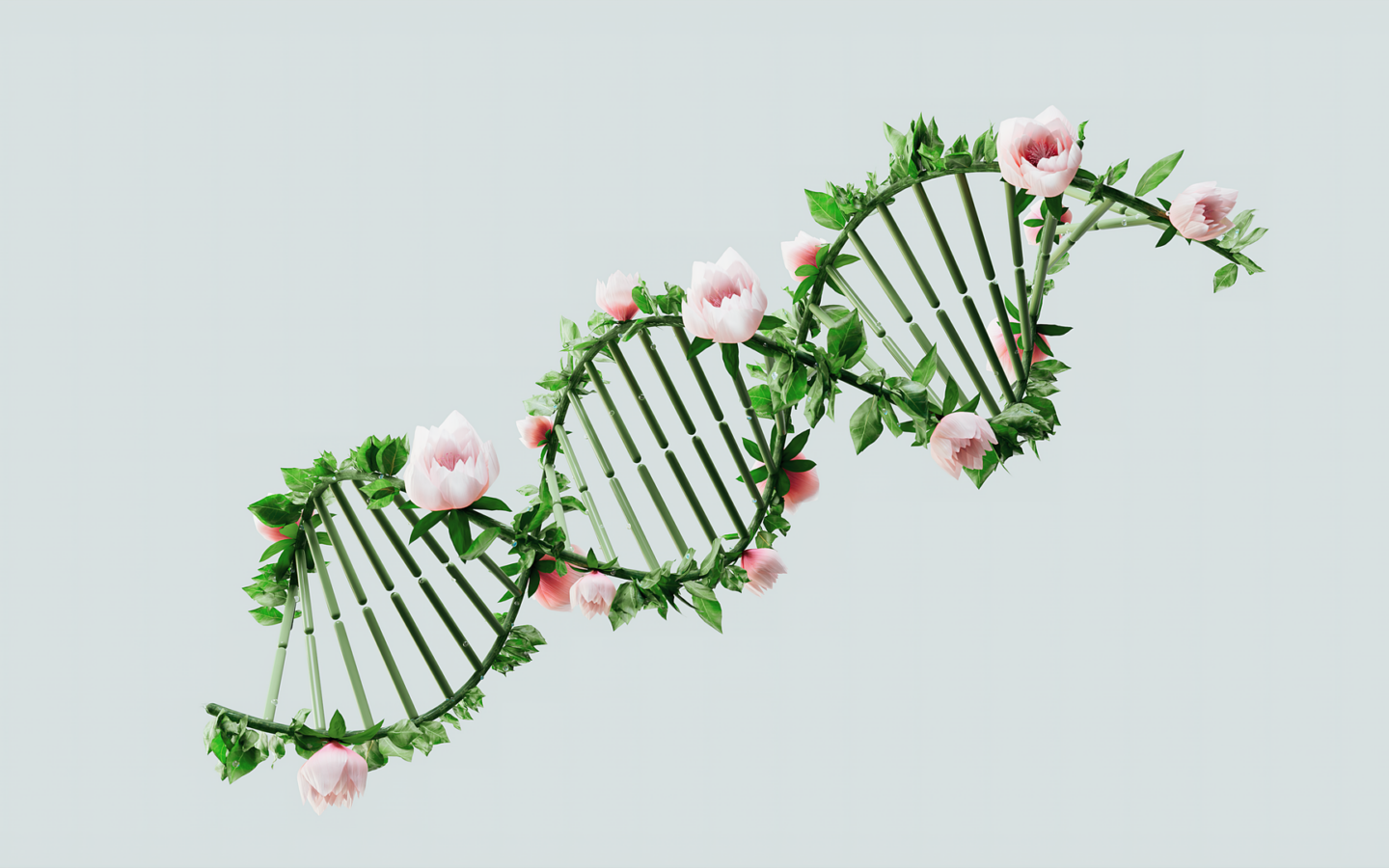 A stylized DNA double helix made of green stems and pink flowers