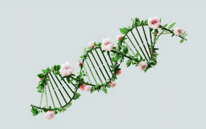 A stylized DNA double helix made of green stems and pink flowers