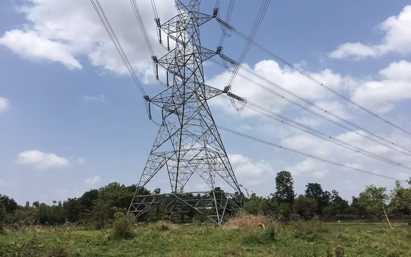 An electricity pylon in Maharashtra, India, rises above a grassy field.