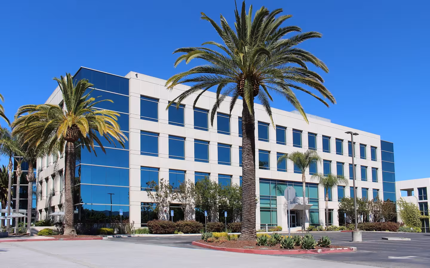 One Circle Star Way office building in Redwood City, framed by palm trees