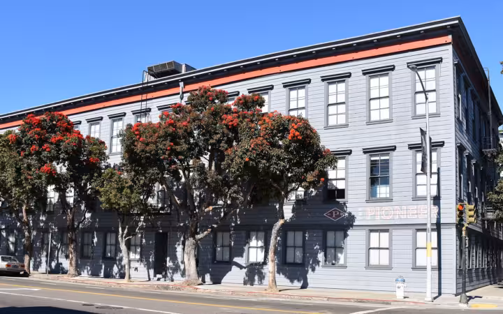 Pioneer Building in San Francisco, partly screened by trees along a sunny street
