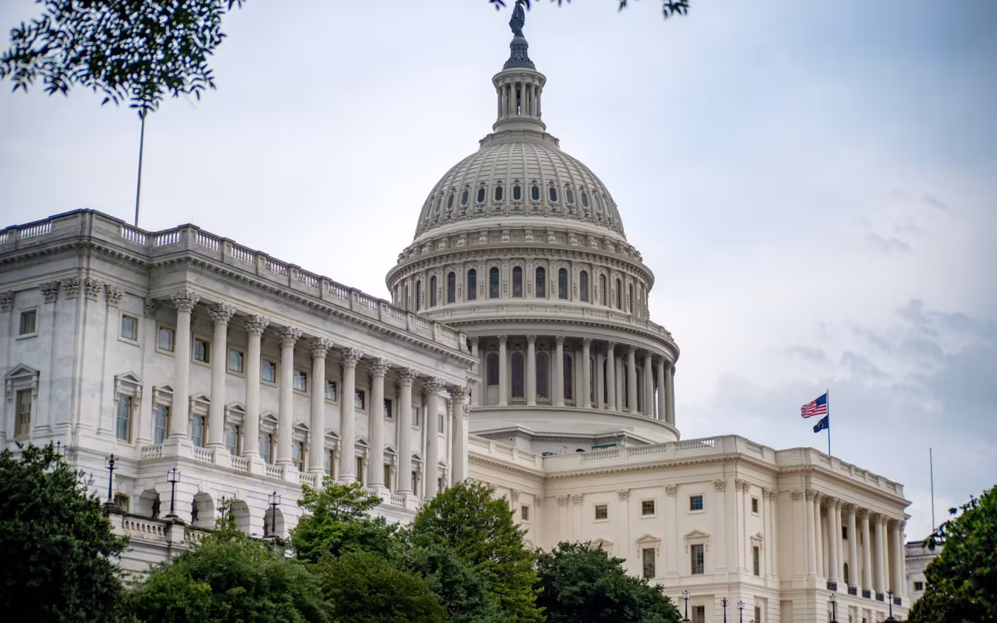 The US Capitol Building rises above trees beneath an overcast sky.