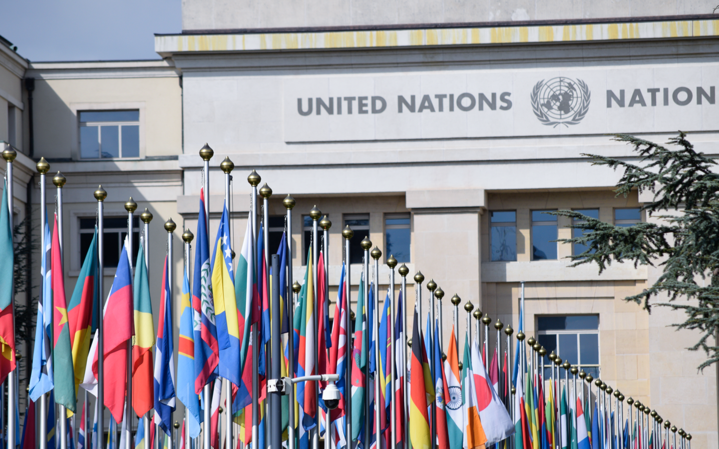 National flags stand outside the United Nations office in Geneva.