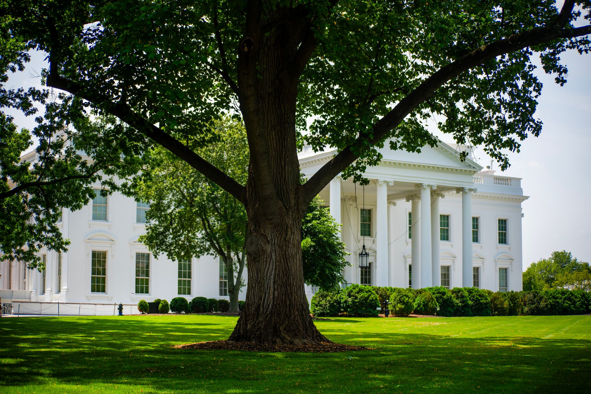 White House AI task force adopts charter and assigns work for 120-day ...